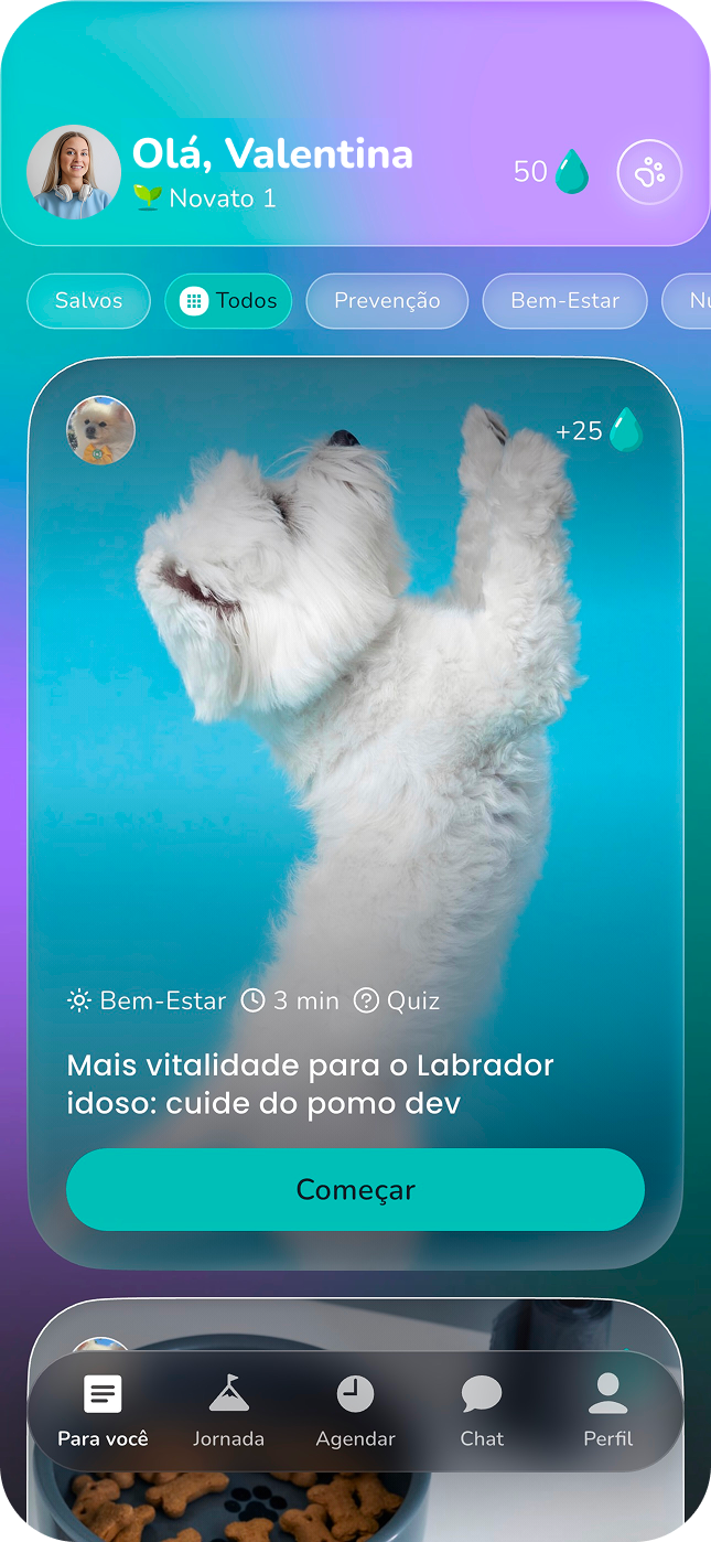 Tela do app Yolki mostrando descobertas diárias sobre o seu pet