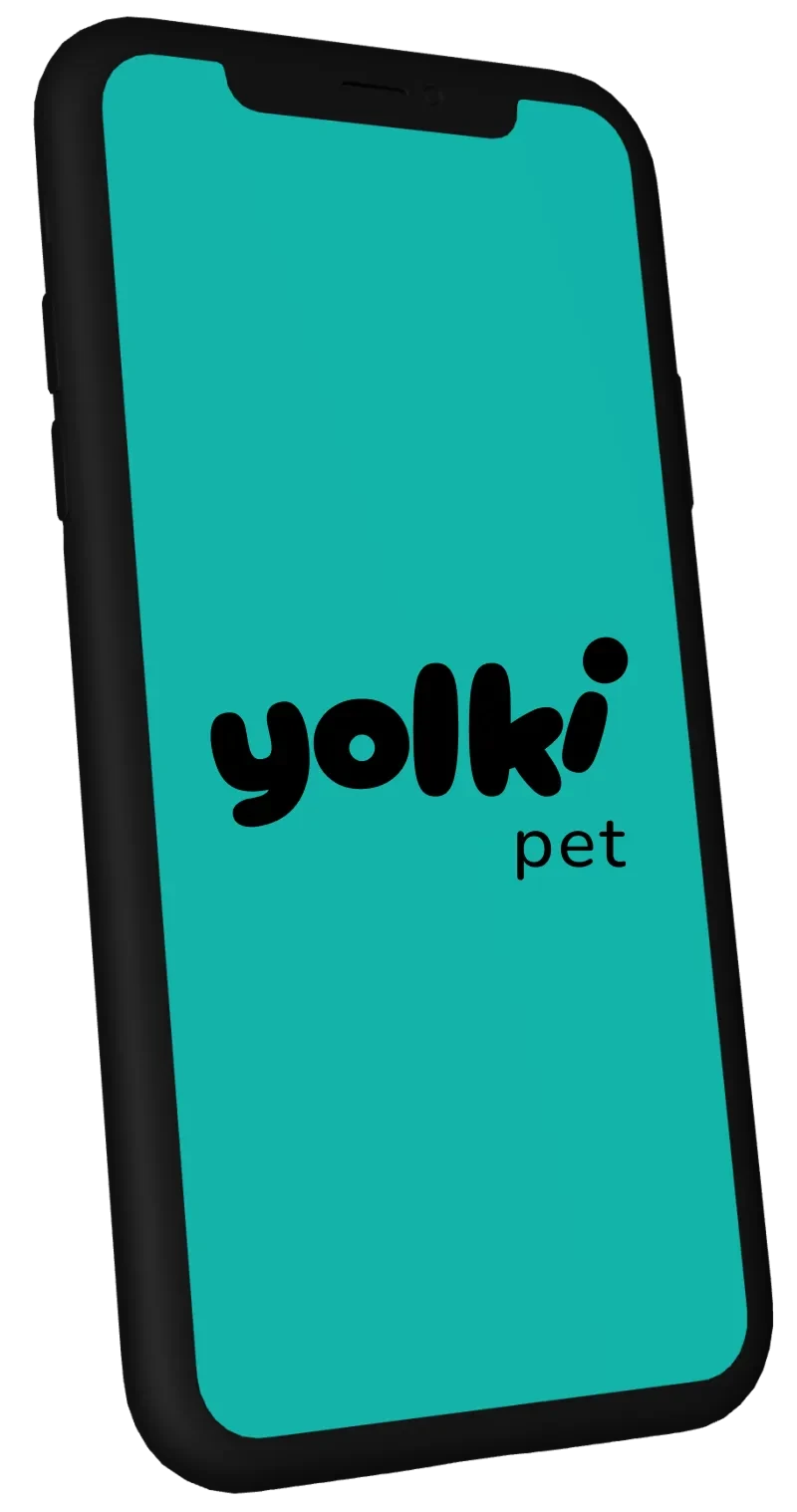 Yolki Pet App Opening Screen