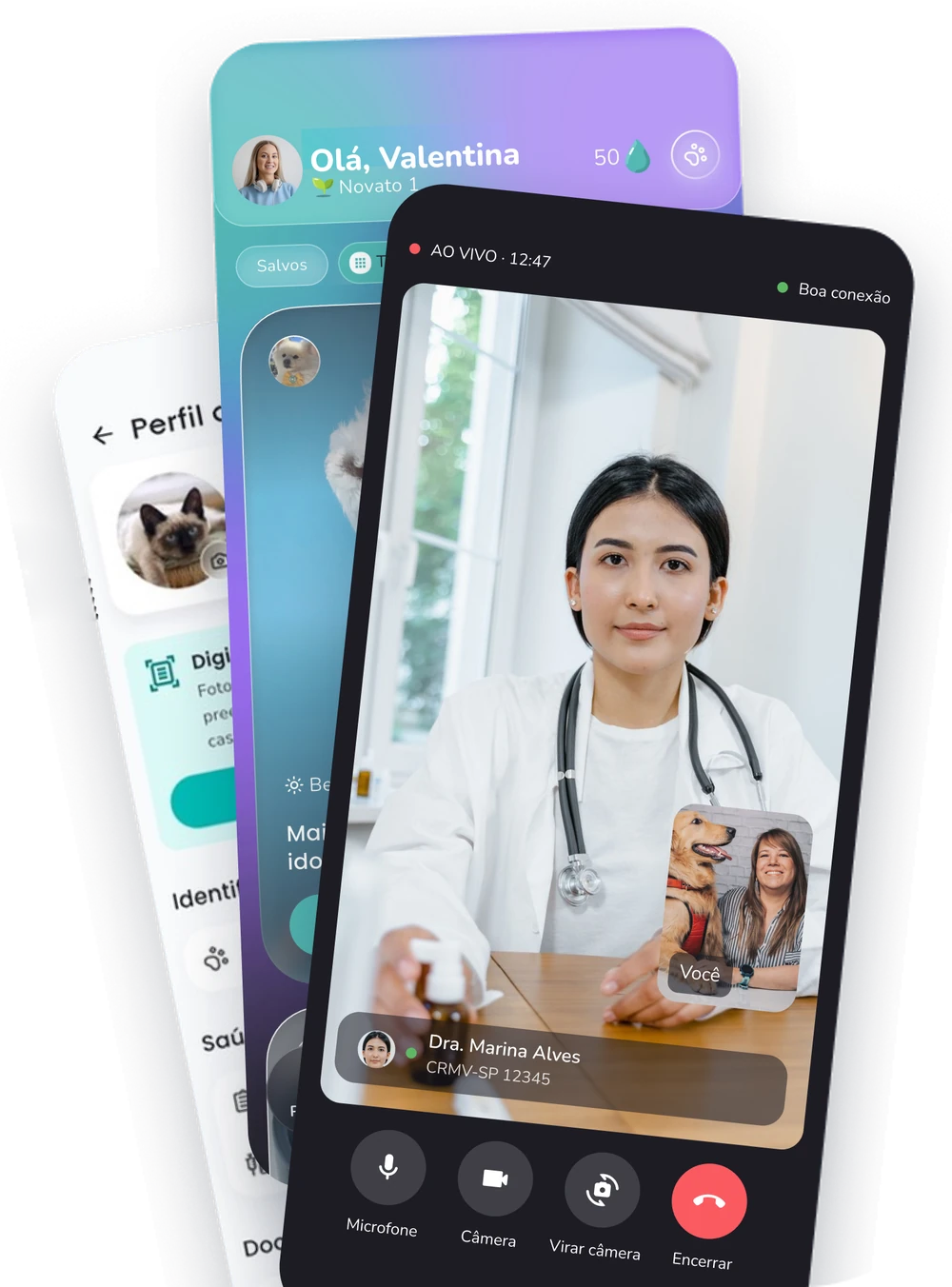 Telas do app Yolki: perfil do pet, tela inicial e consulta veterinária por vídeo